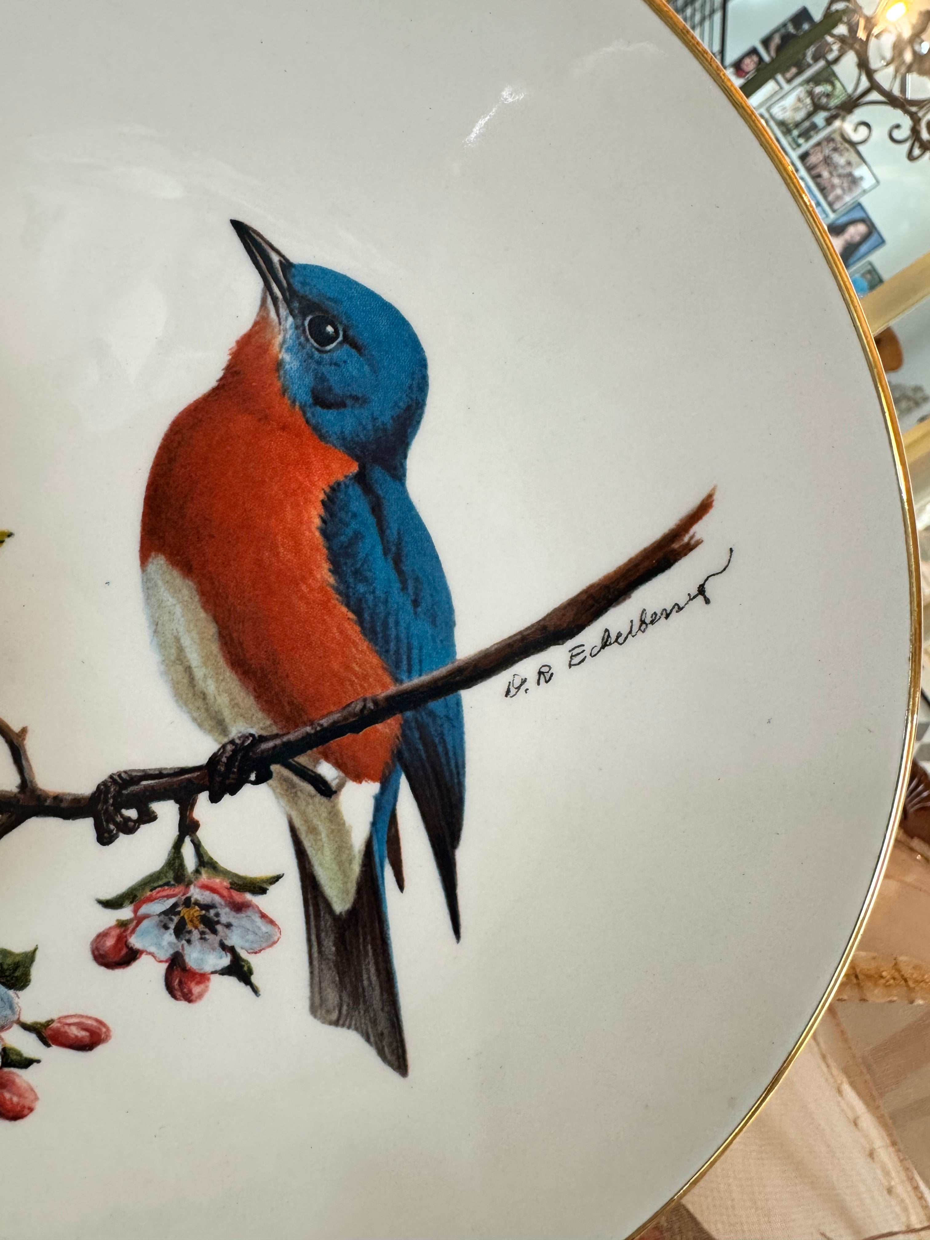 Collectible Avon North American Songbird Plate with a bluebird by artist Don Eckelberry.