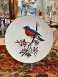 Collectible Avon North American Songbird Plate with a bluebird by artist Don Eckelberry.